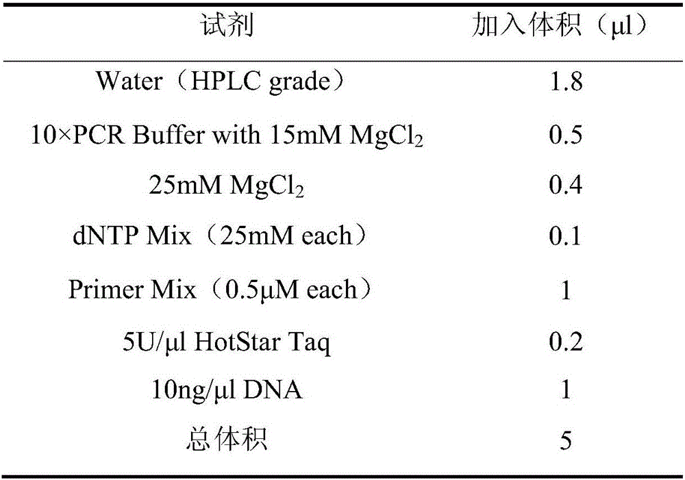 Mononucleotide polymorphic marker site, primers and kit for identifying peach fruit epidermal hair characters, and application thereof