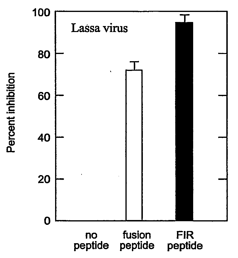 Method of preventing virus: cell fusion by inhibiting the function of the fusion initiation region in rna viruses having class i membrane fusogenic envelope proteins