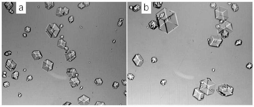 Preparation method of insulin crystals and products thereof