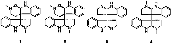 Total alkaloid extract of willow-leaved wintersweet and its preparation method and application