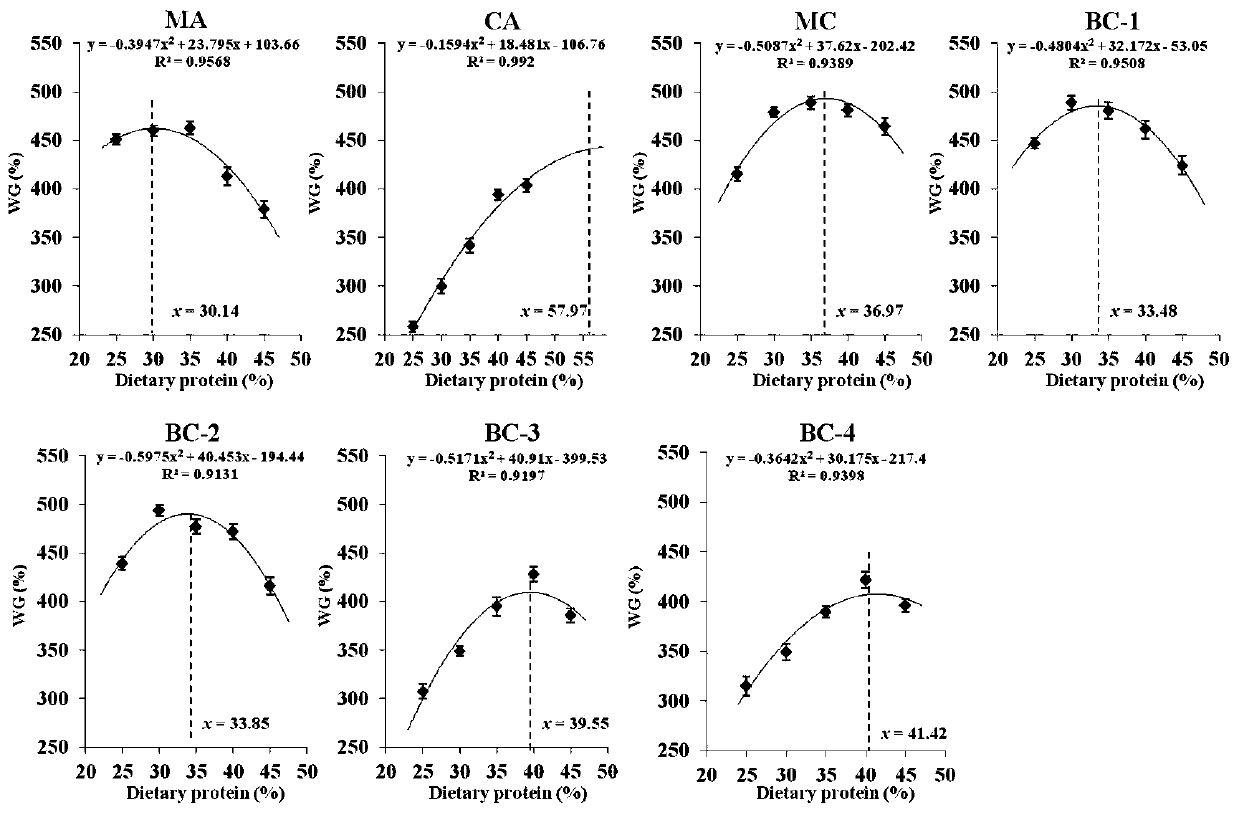 Feed for hybrid fish and preparation method and application thereof