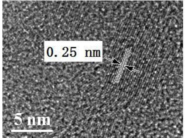 Preparation of boron-doped graphene quantum dot electrochemiluminescence sensor for detecting miRNA-20a and application of sensor