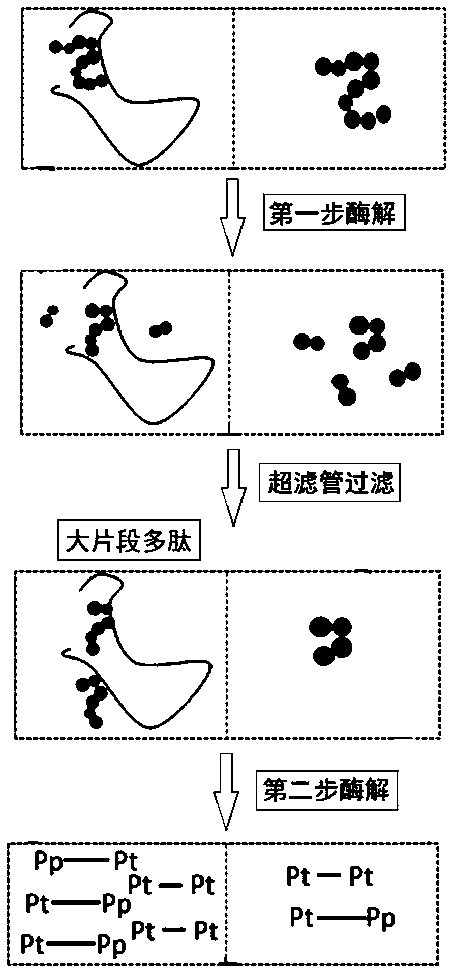 A method for analyzing the digestibility of protein-polysaccharide complex based on liquid chromatography-mass spectrometry