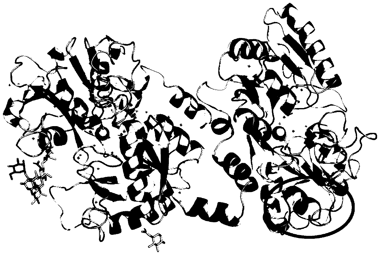 A method for analyzing the digestibility of protein-polysaccharide complex based on liquid chromatography-mass spectrometry