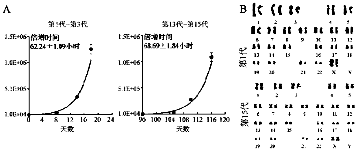 Functional hepatocyte induction method and special three-dimensional induction culture medium and application thereof