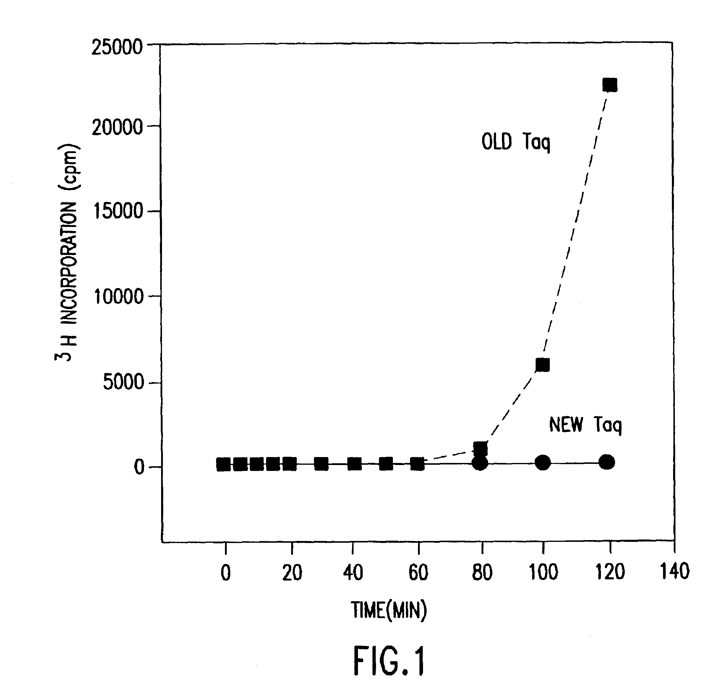 Nucleic acid-free thermostable enzymes and methods of production thereof