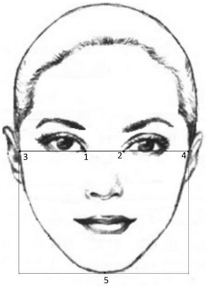 Virtual figure head portrait generation method and apparatus