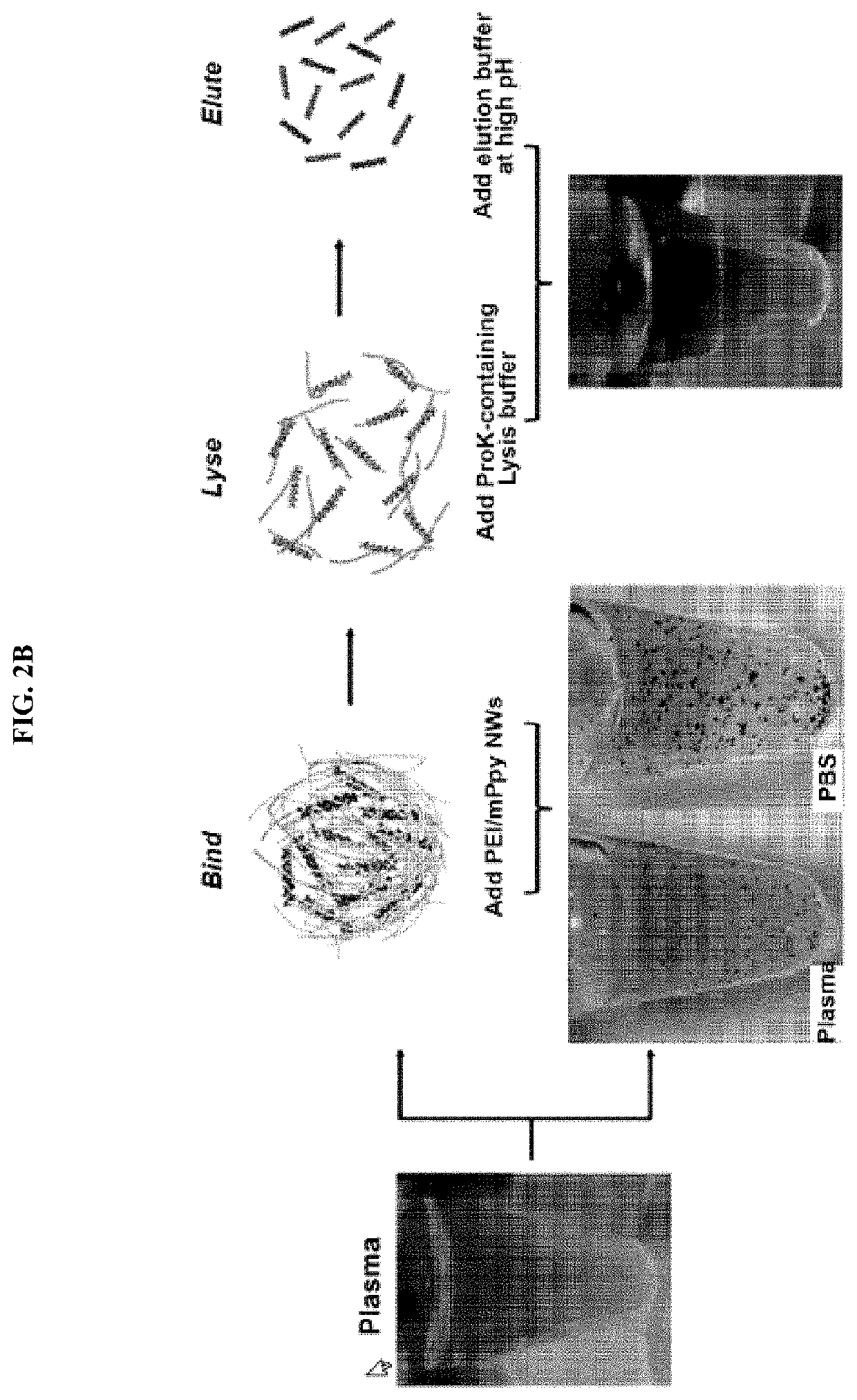 Method for diagnosing cancer using cfdna