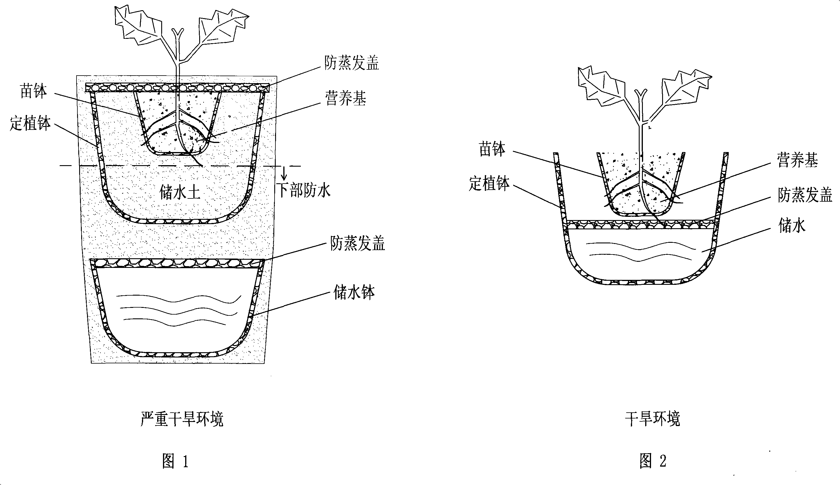 Production and cultivation method of container for plant growth