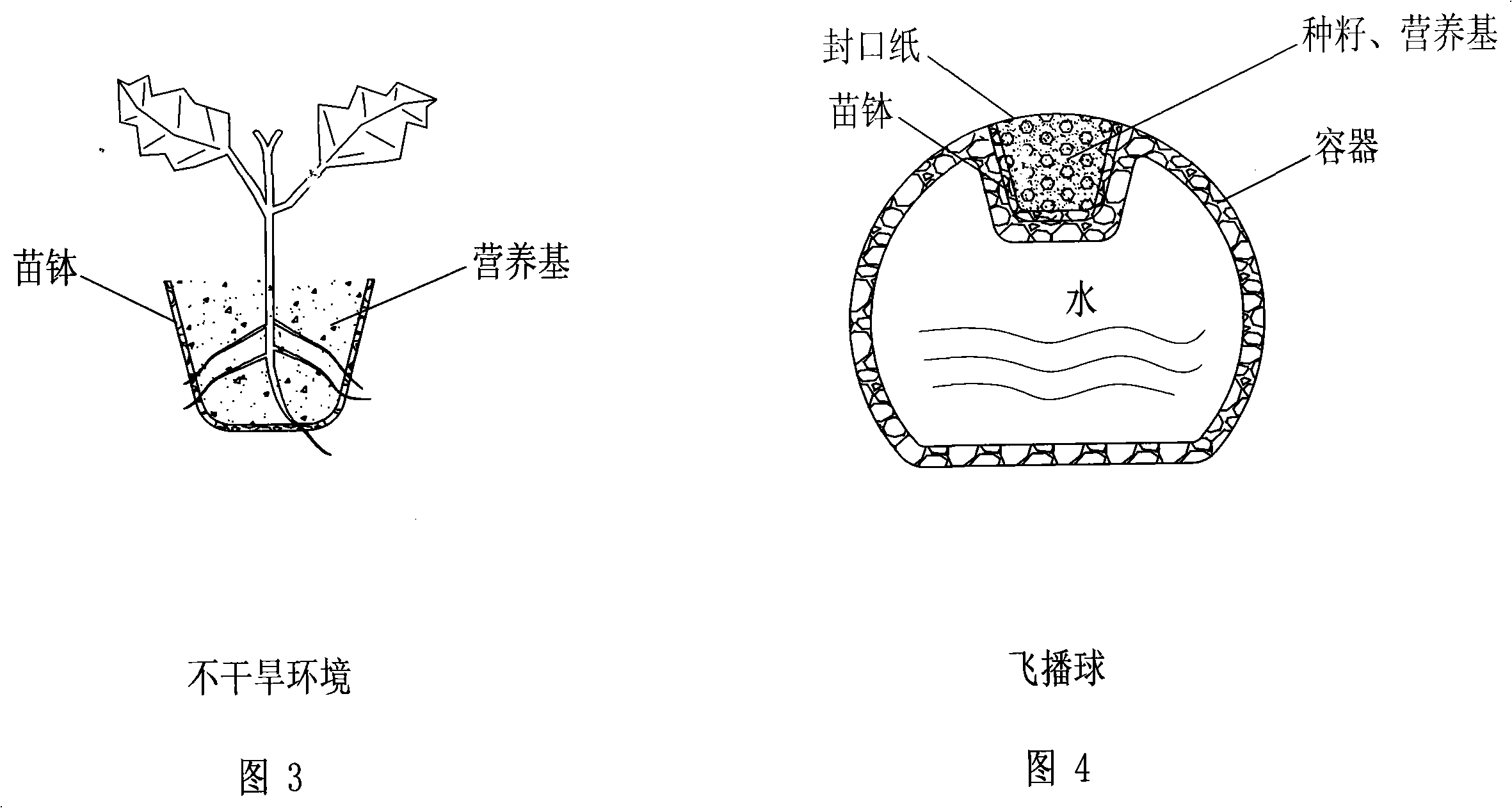 Production and cultivation method of container for plant growth