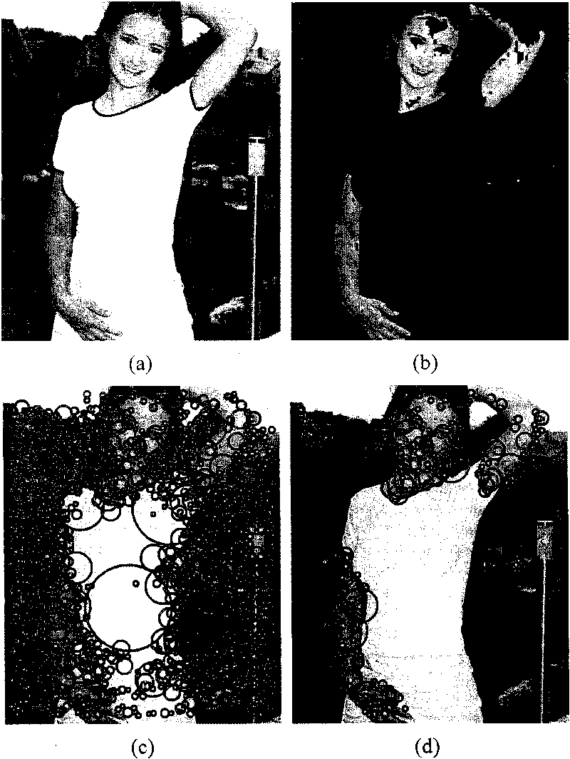 High-efficiency method and system for sensitive image detection
