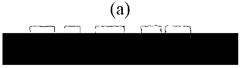 Function coating imaging-self method of polydimethylsiloxane three-dimensional structure