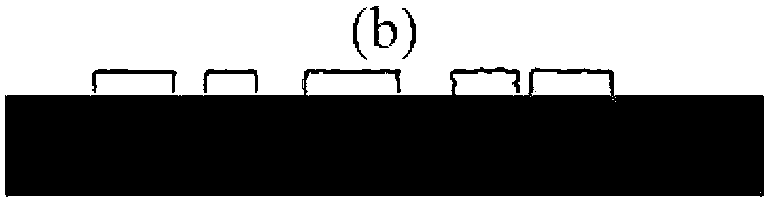 Function coating imaging-self method of polydimethylsiloxane three-dimensional structure