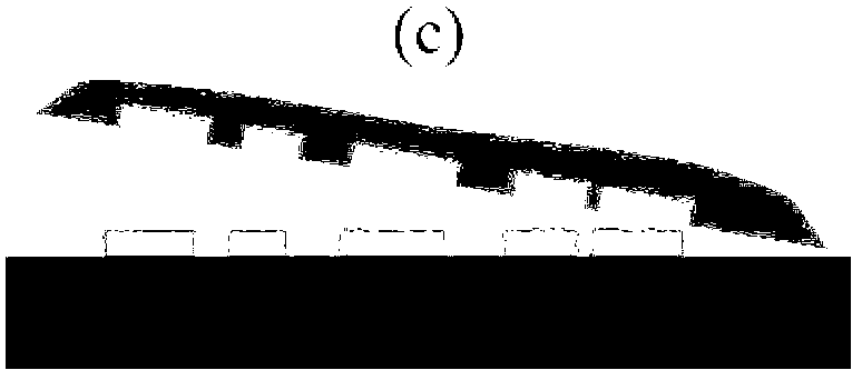 Function coating imaging-self method of polydimethylsiloxane three-dimensional structure