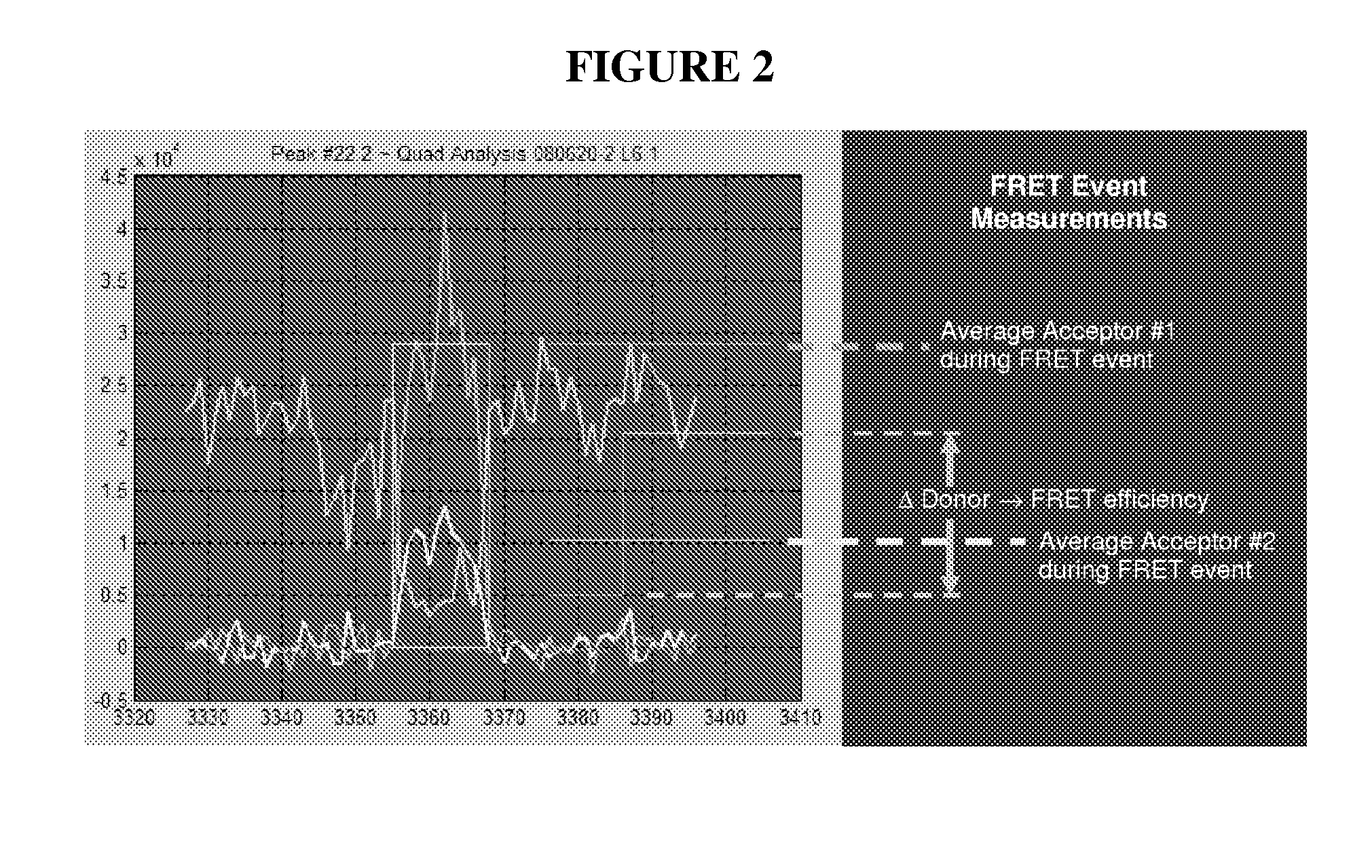 Methods for Real Time Single Molecule Sequencing