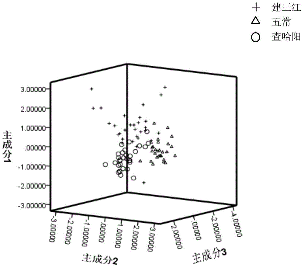 Rice producing area identification method based on mineral matter analysis technology and application