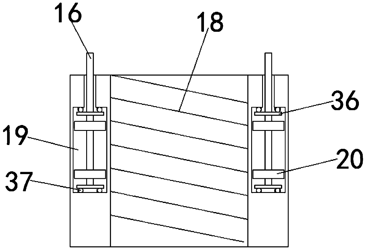 Gene detection, verification and extraction system applicable to teaching and gene screening method for rare diseases