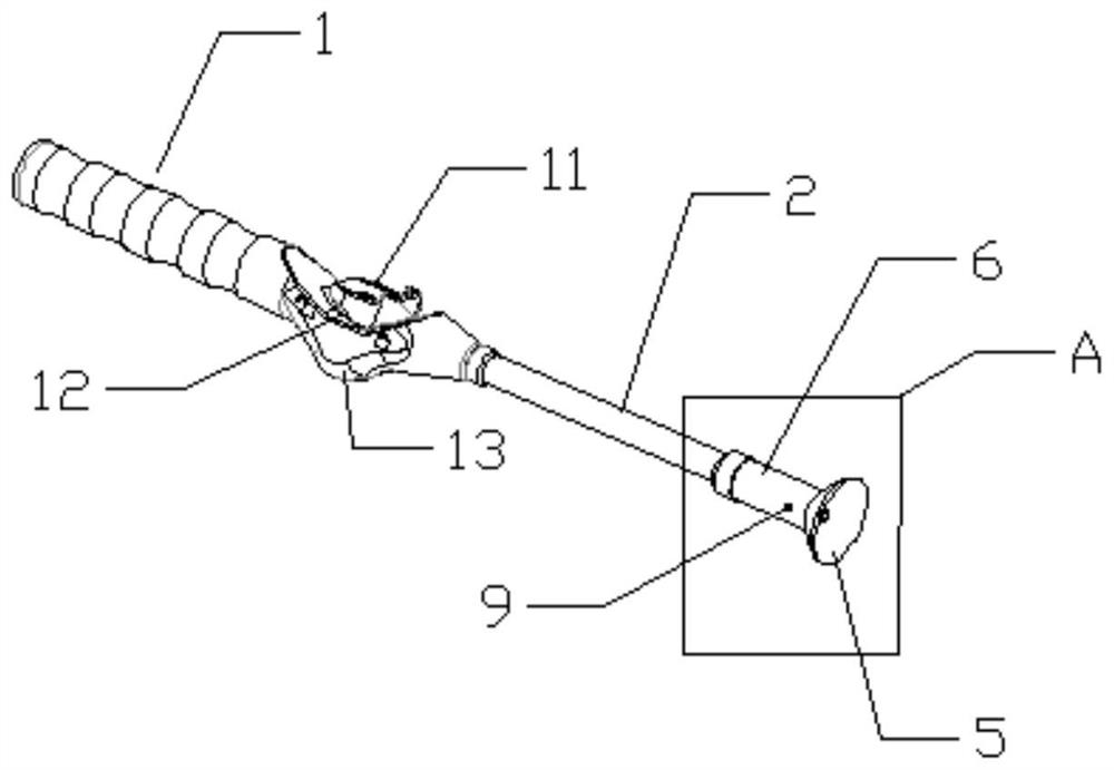 Lining prosthesis picking and mounting device and method