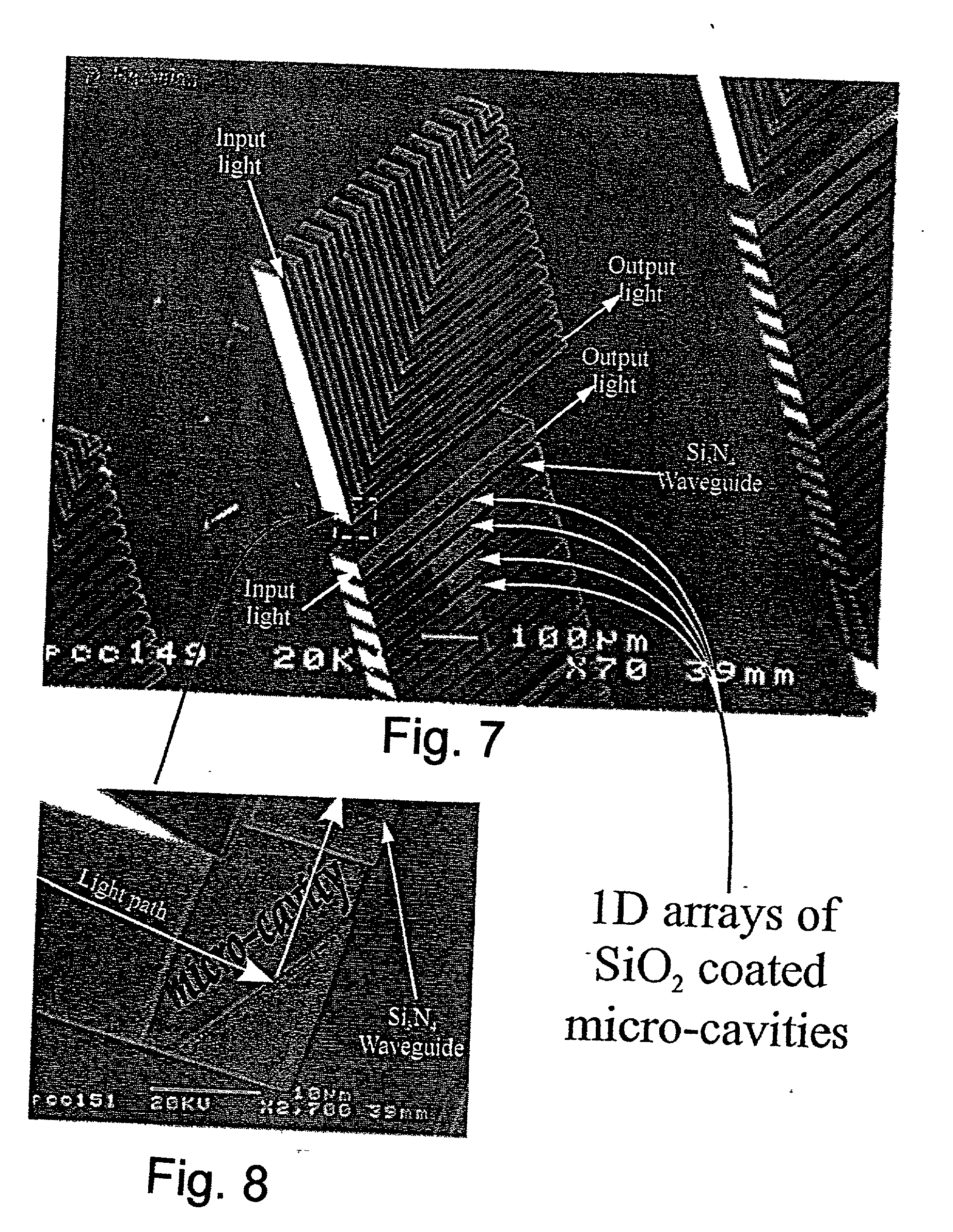 Method, chip, device and system for effecting and monitoring nucleic acid accumulation