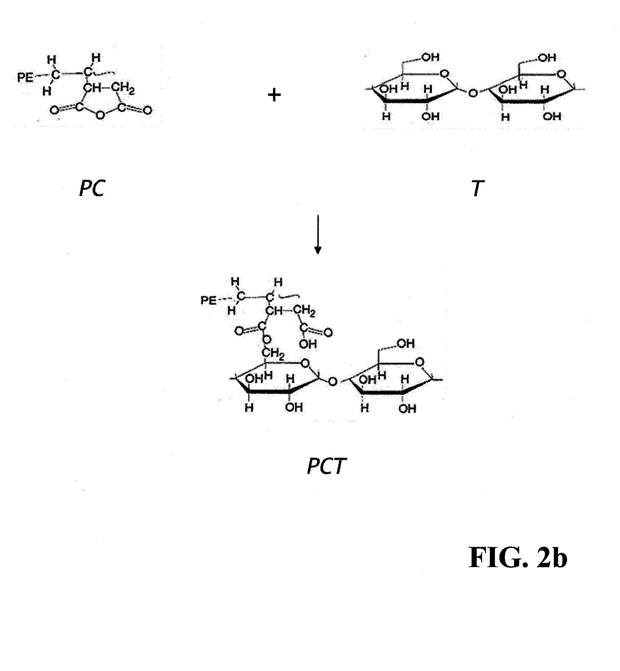 Starch Based Reactor, Resultant Products, and Methods and Processes Relating Thereto