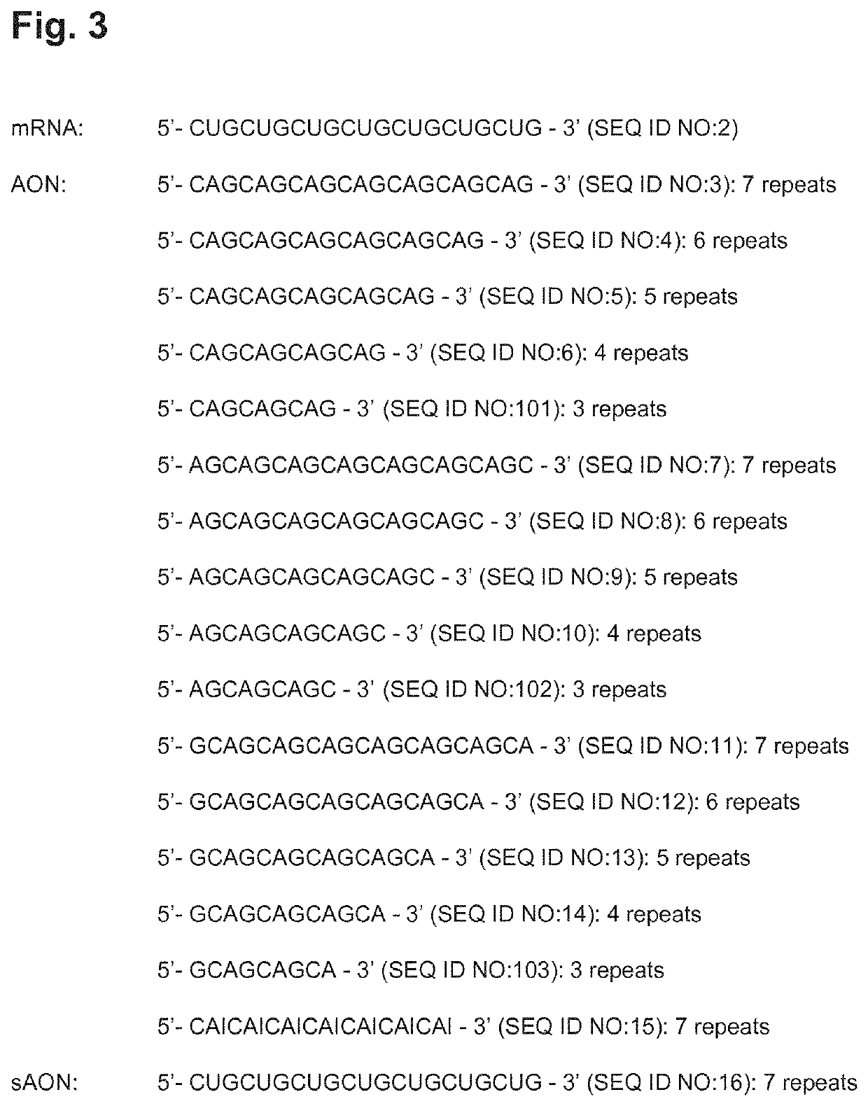 Use of single-stranded antisense oligonucleotide in prevention or treatment of genetic diseases involving a trinucleotide repeat expansion