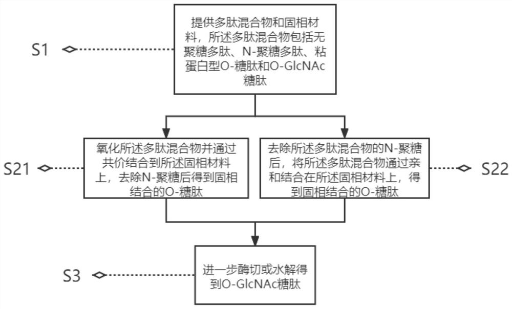 Preparation method of solid-phase enriched O-GlcNAc glycopeptide