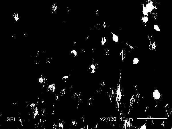 A piezoelectric triboelectric hybrid wearable nanogenerator and its preparation method