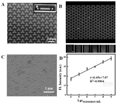 Exosome surface protein and internal miRNA simultaneous detection chip and detection technology