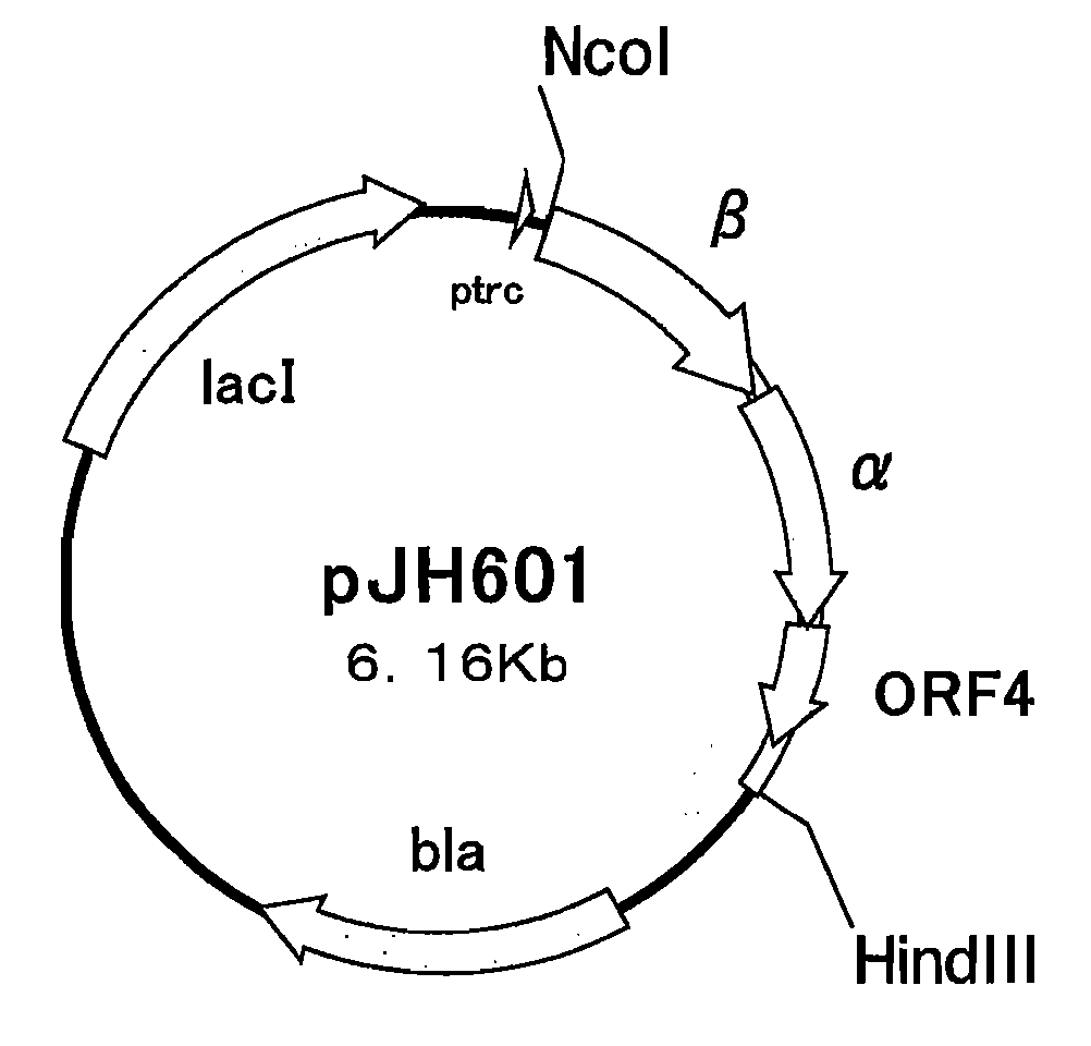 Nitrile Hydratase