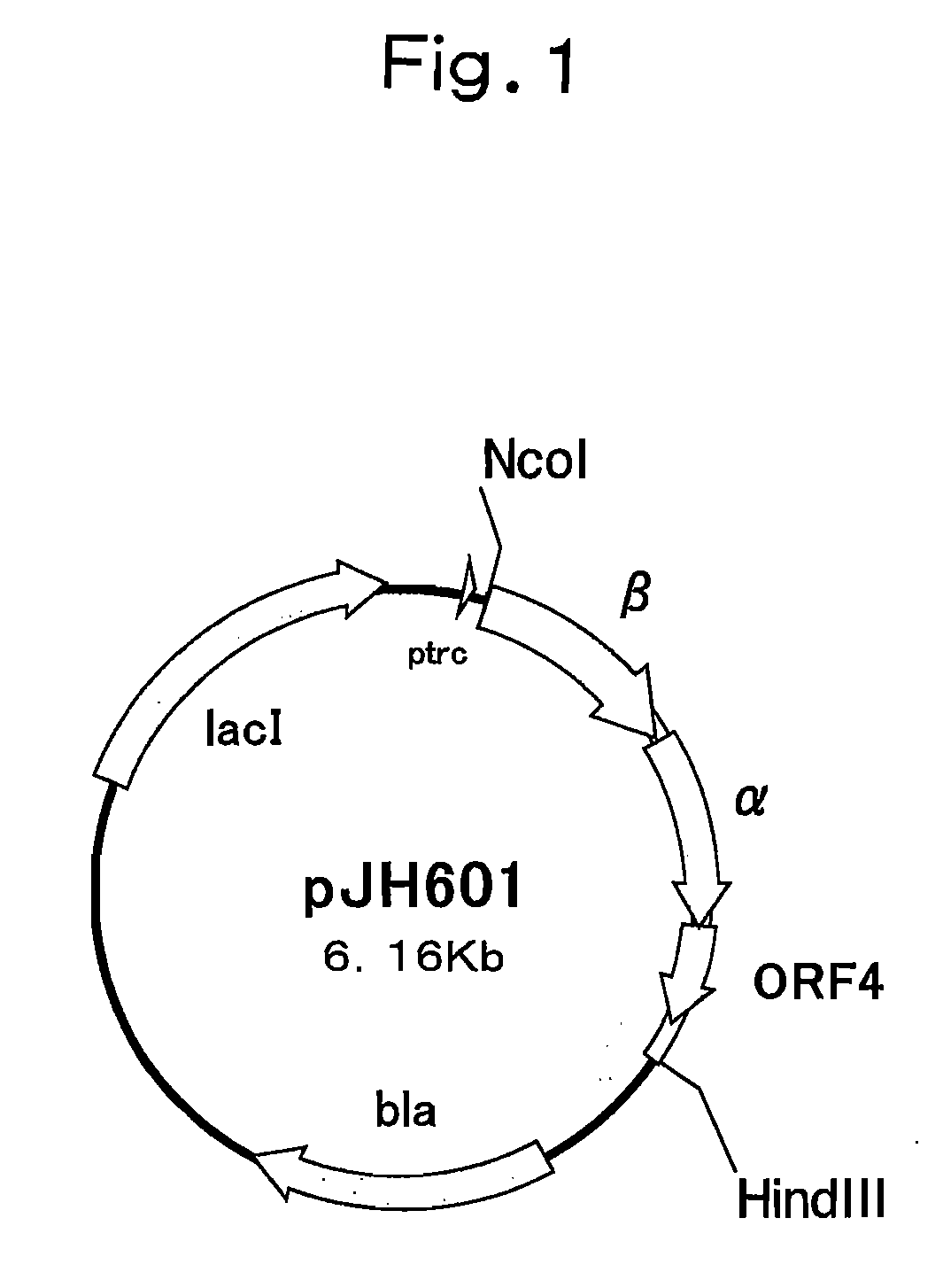 Nitrile Hydratase