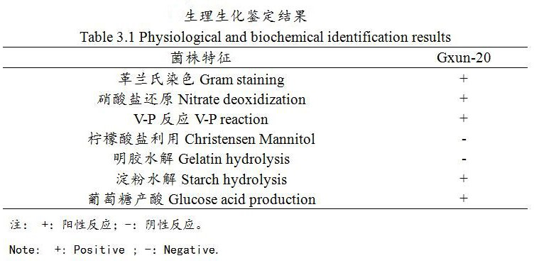 Plant growth-promoting rhizobacteria strain Gxun-20 and application thereof in plant growth promotion