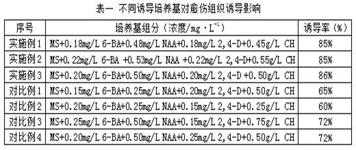 Culture medium for tissue culture of medicago ruthenica