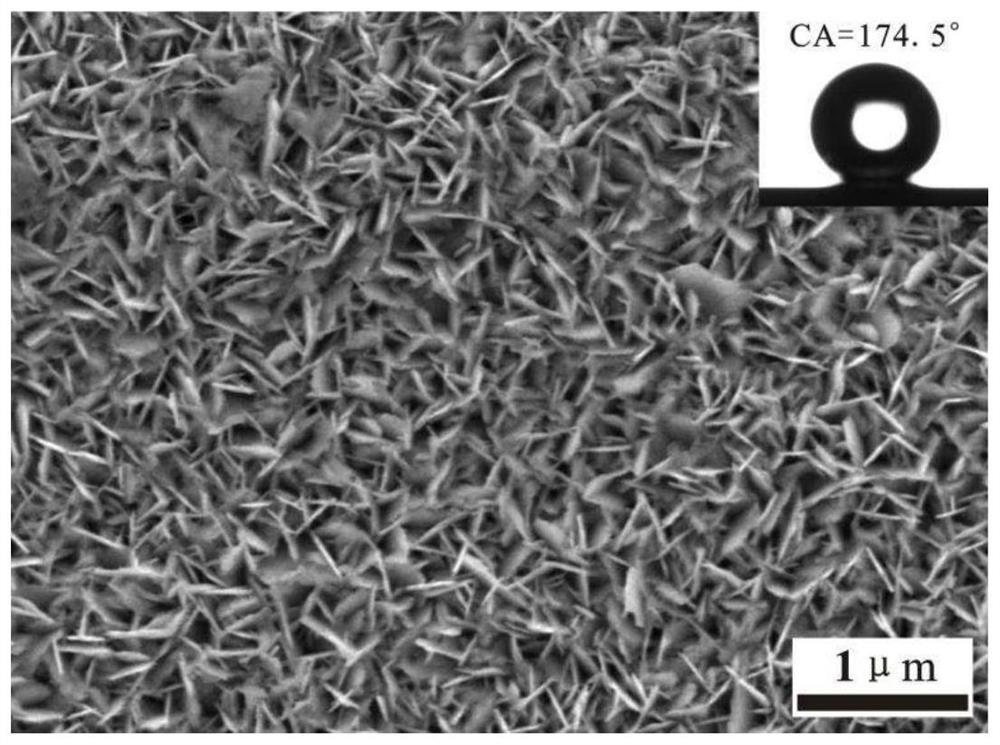 Preparation method and application of ultrahigh-adhesiveness super-hydrophobic brass surface