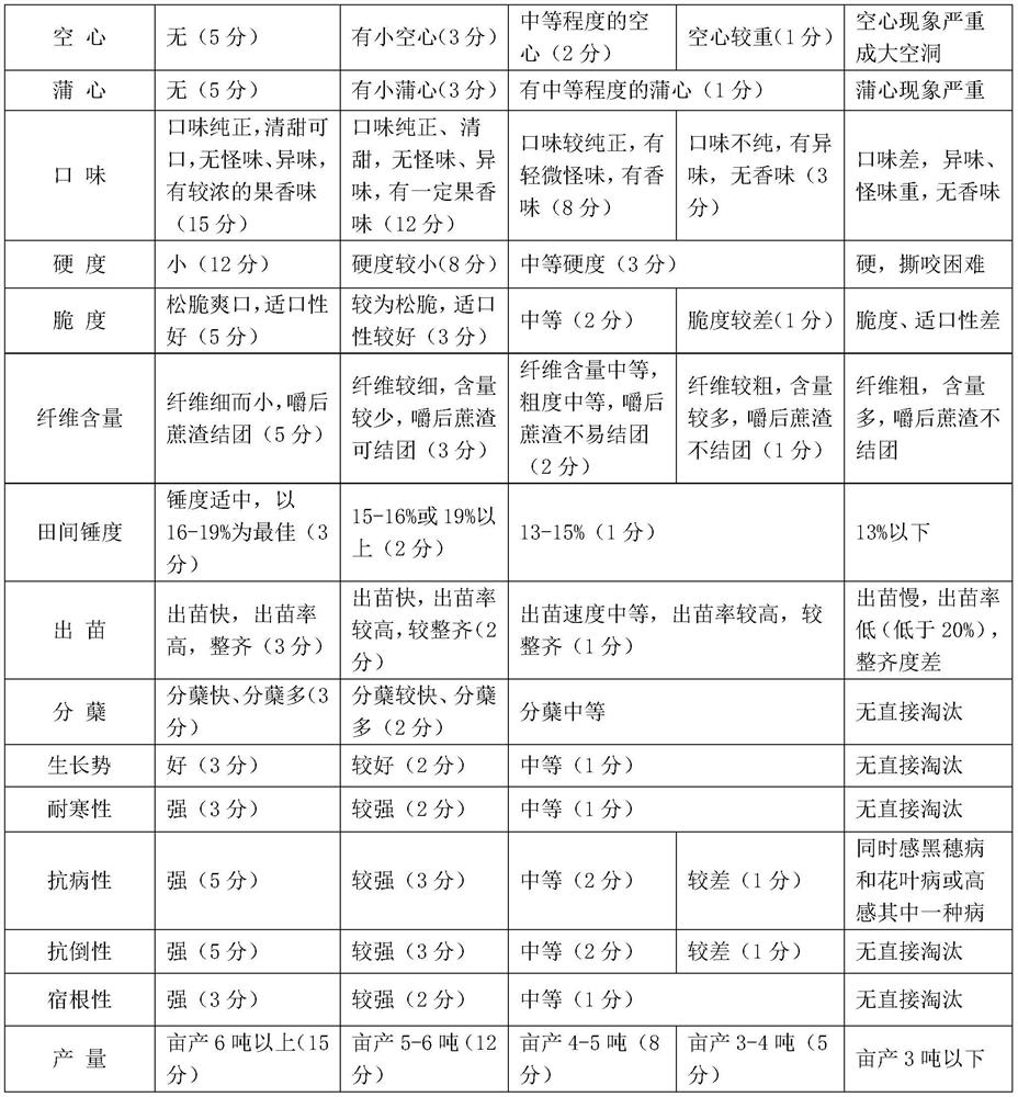 Breeding method of new chewing cane variety