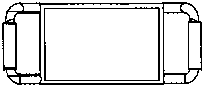 Human body nutrient diagnosis instrument