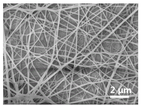 Preparation technology of metal nanometer fiber