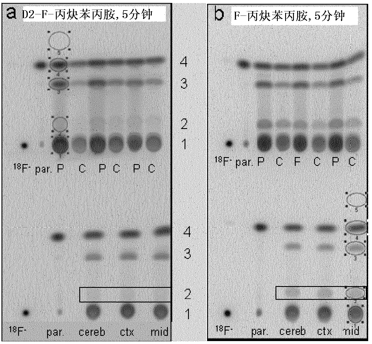 Compounds for use in imaging, diagnosing and/or treatment of diseases of the central nervous system