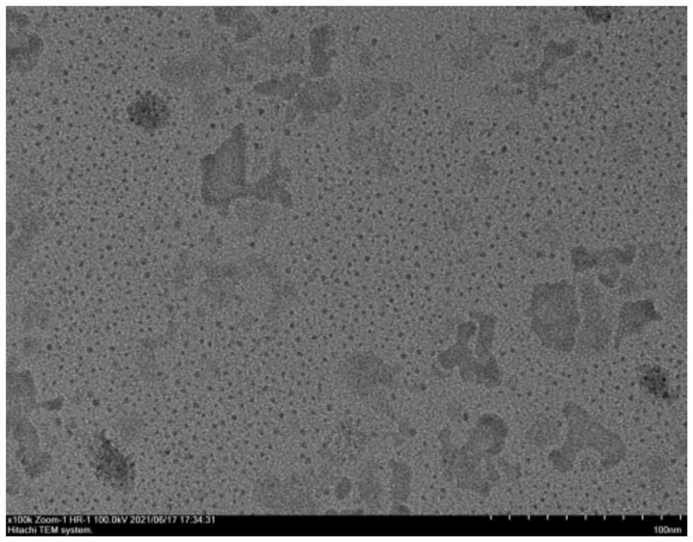 Preparation method of gold nanoparticles as electron microscope developer and obtained gold nanoparticles