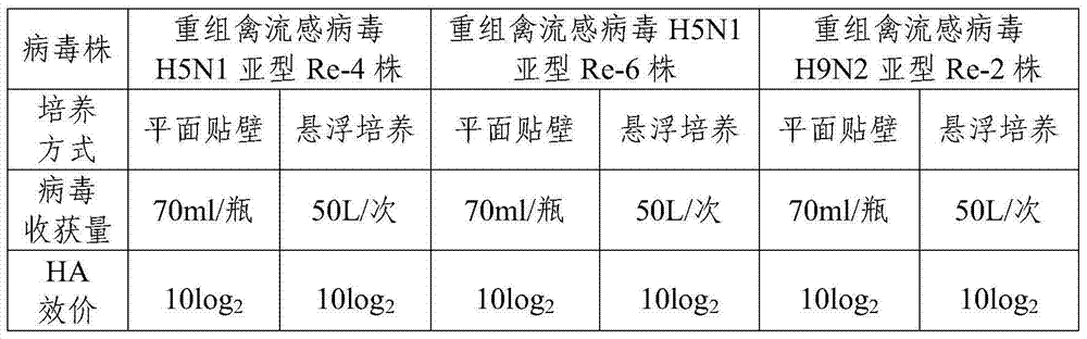 Method for producing avian influenza virus bivalent inactivated vaccine by use of MDCK cell line