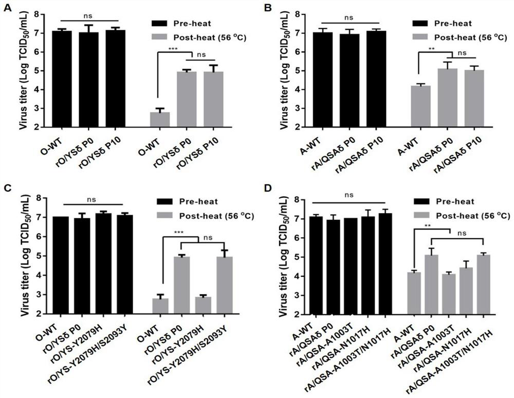 Recombinant foot-and-mouth disease virus non-toxic strain with heat-resistant phenotypic stable inheritance and negative marker and O/A type foot-and-mouth disease bivalent inactivated vaccine