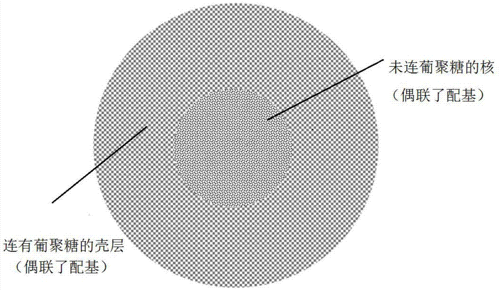 A high-capacity agarose chromatography medium and its preparation method