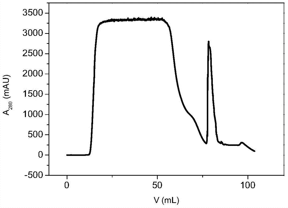 A high-capacity agarose chromatography medium and its preparation method