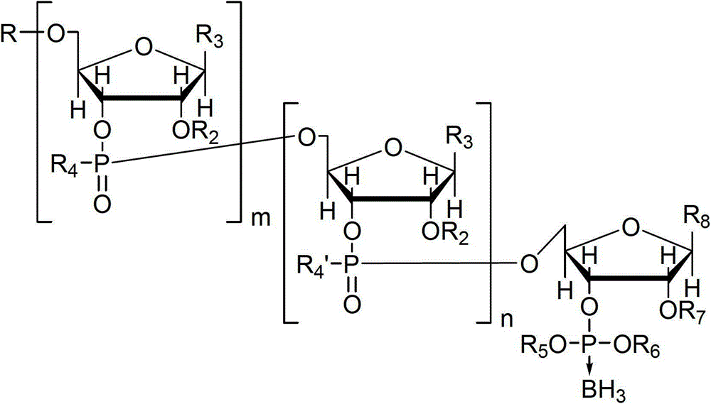 Nucleotide and/or oligonucleotide and preparation method thereof