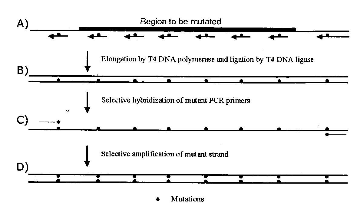 Method for site-directed mutagenesis