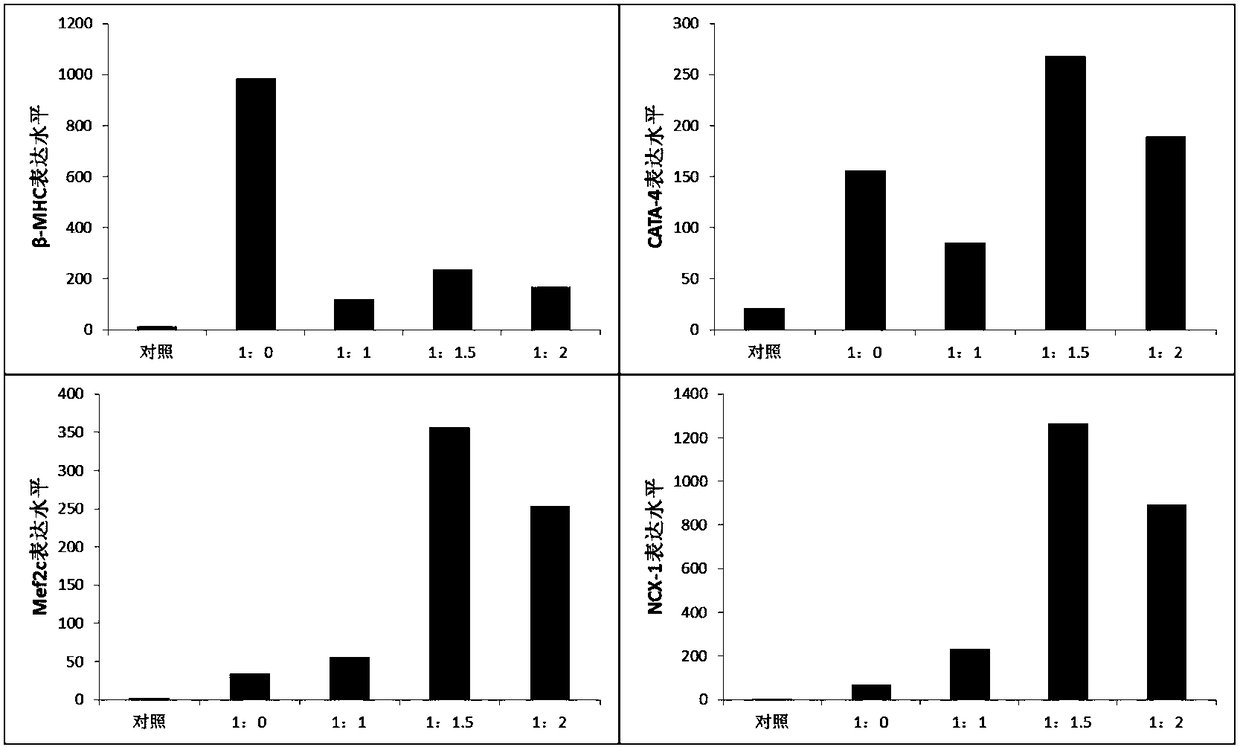 Method for inducing directional myocardial differentiation of iPSCs by adopting HCM myocardial cell culture fluid