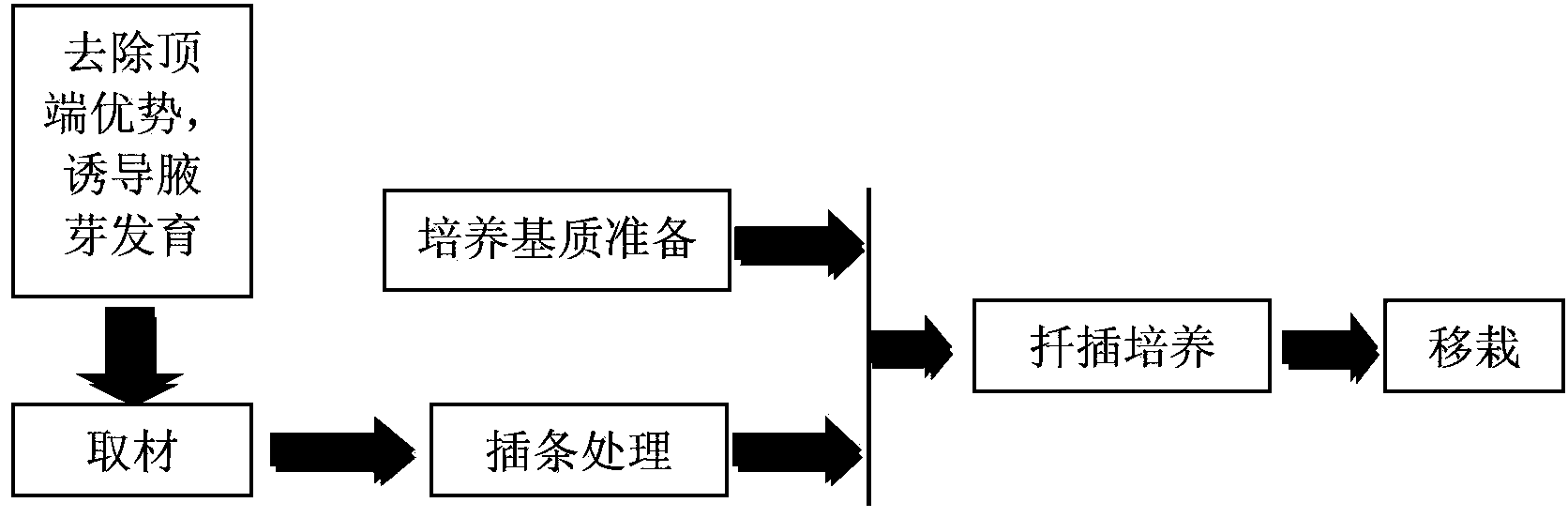 Switchgrass cuttage vegetative propagation method