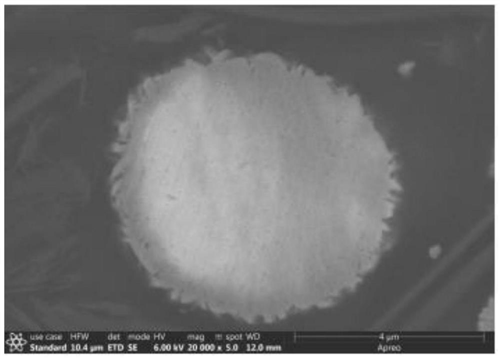 A kind of high-nickel ternary precursor co-doped with metal vanadate compound and preparation method thereof