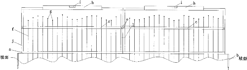 Slope rill erosion measurer