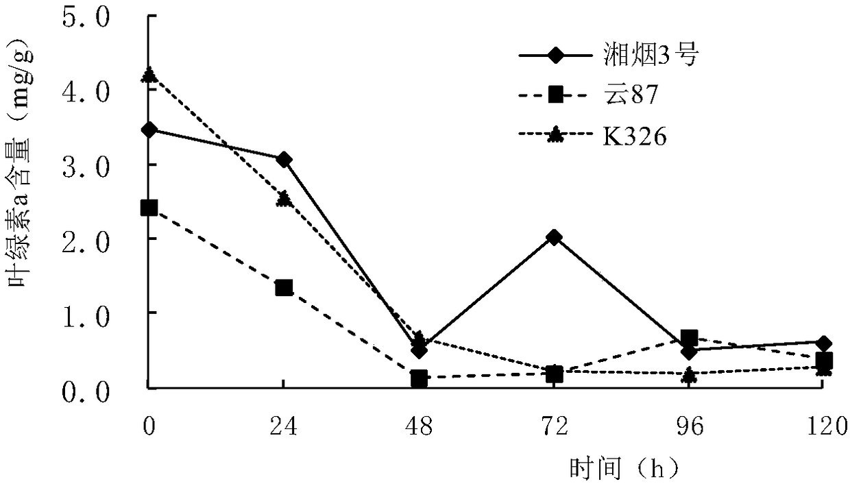 Strong-flavor flue-cured tobacco variety third Xiang tobacco delay slow baking method