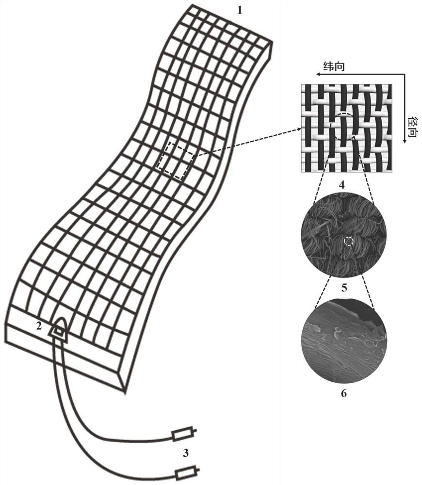 Stretchable calotropis gigantean fiber graphene flexible sensor